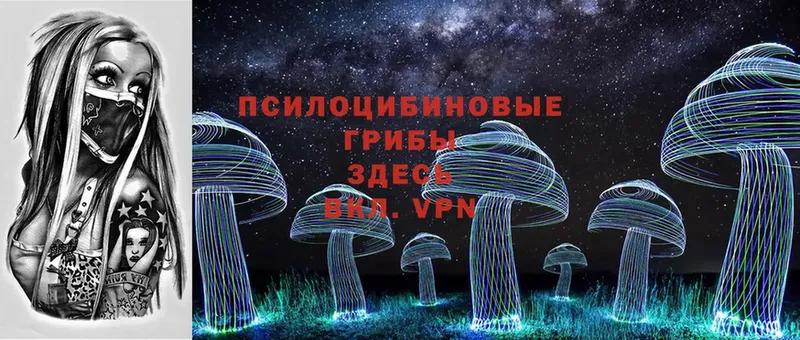 МЕГА сайт  Инза  Галлюциногенные грибы Psilocybe 